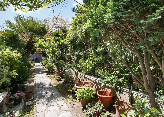 Il Covino Apartament Viareggio